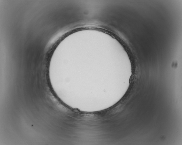 X0000110901456200907301555