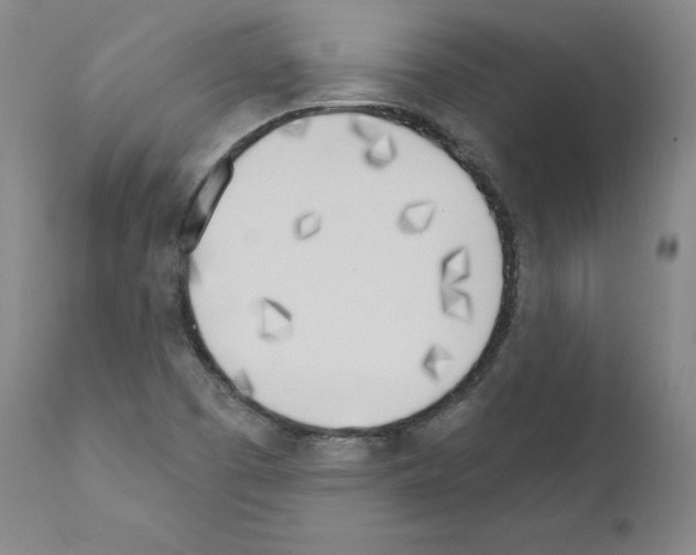 X0000110901457200907301555