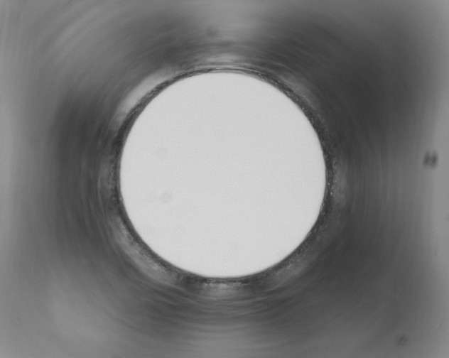 X0000110901458200907301555