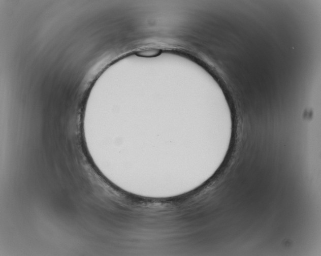 X0000110901459200907301555