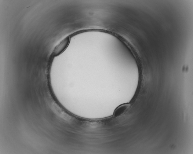 X0000110901460200907301555