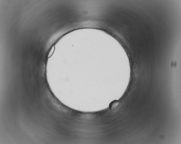 X0000110901461200907301555