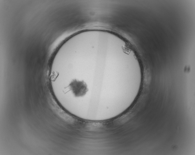 X0000110901462200907301555