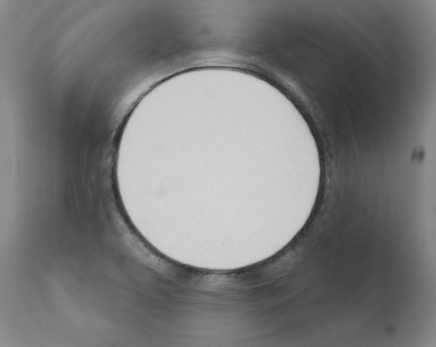 X0000110901463200907301555