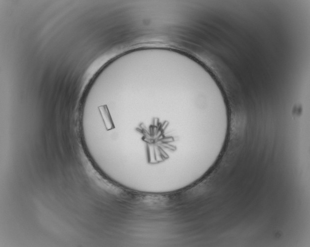 X0000110901466200907301555