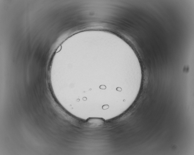 X0000110901467200907301555