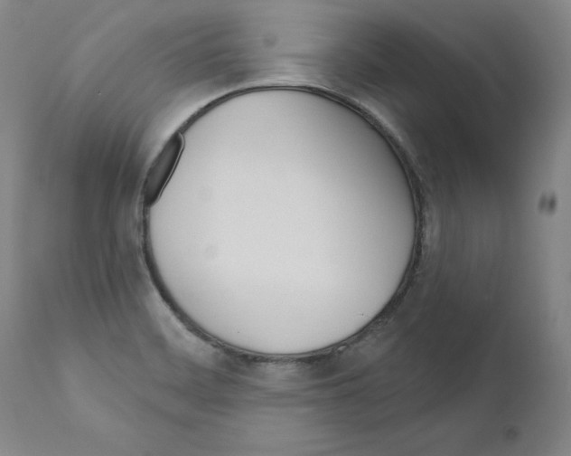 X0000110901468200907301555