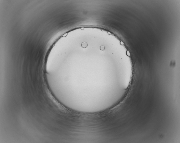 X0000110901469200907301555