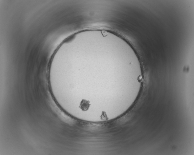 X0000110901470200907301555