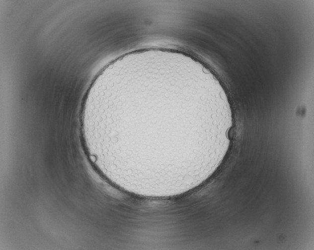 X0000110901471200907301555