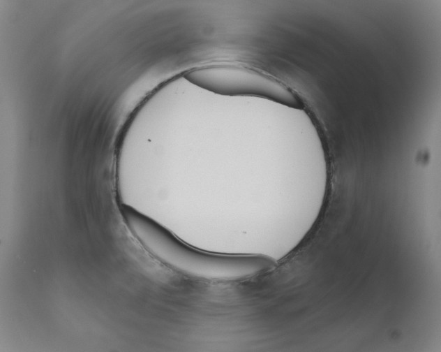 X0000110901472200907301555