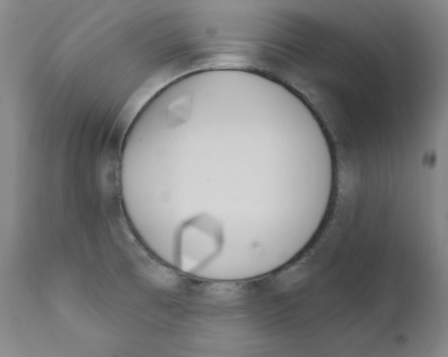 X0000110901473200907301555