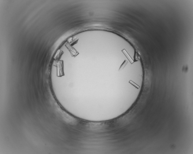 X0000110901474200907301555