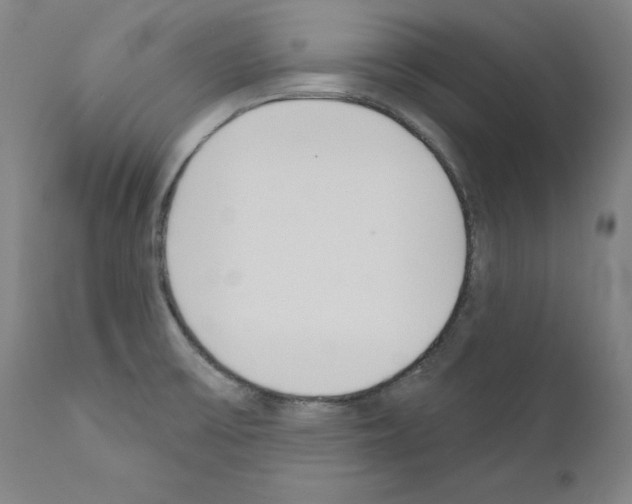 X0000110901475200907301555