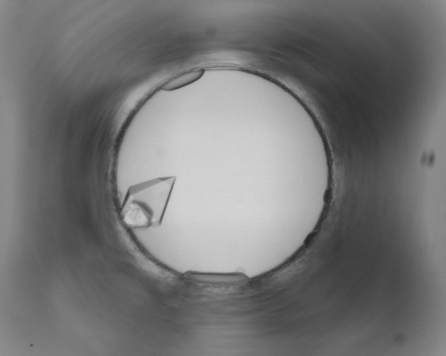 X0000110901477200907301555