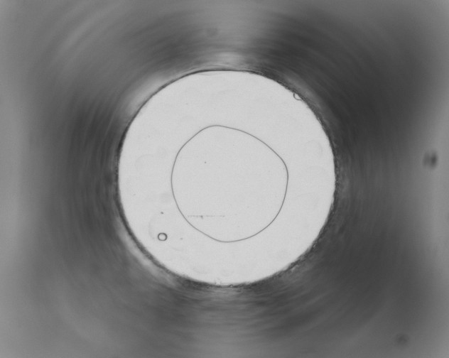 X0000110901479200907301555