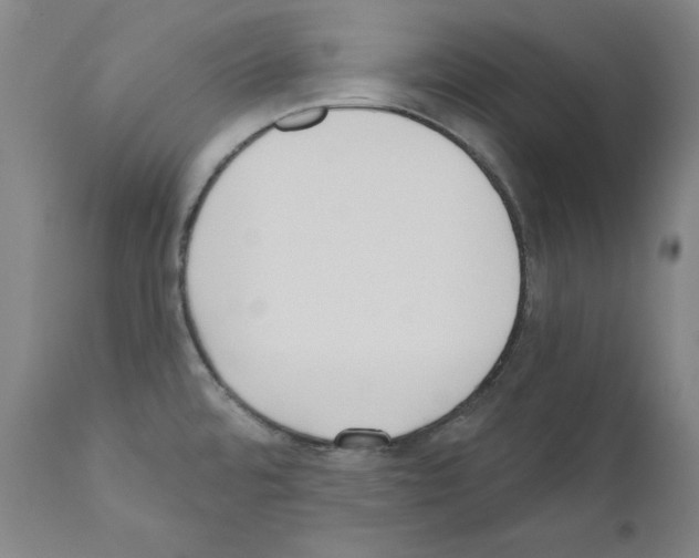 X0000110901480200907301555