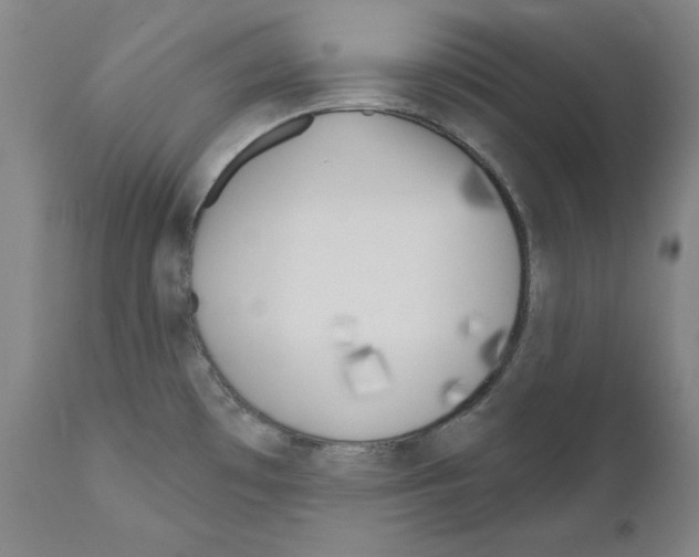 X0000110901481200907301555