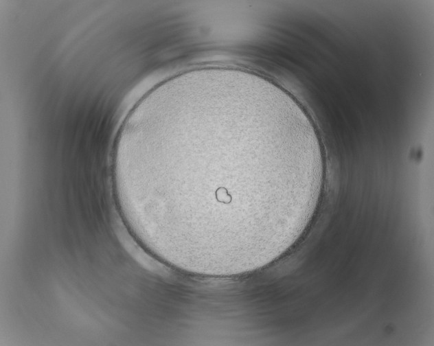 X0000110901482200907301555