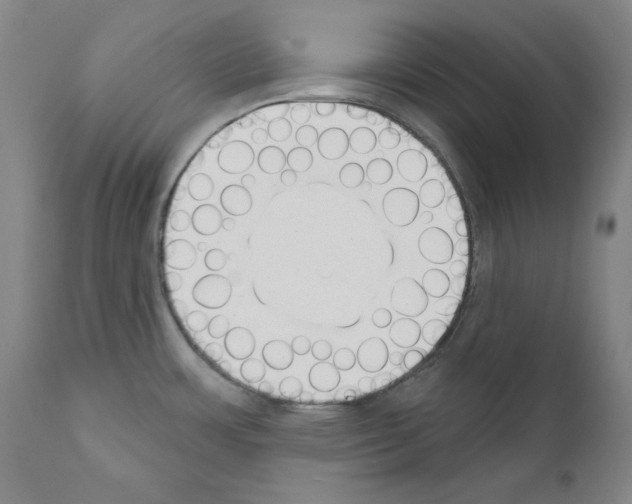 X0000110901483200907301555