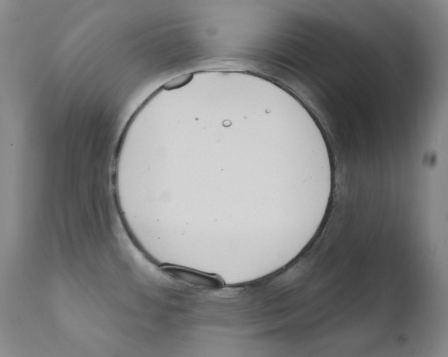 X0000110901484200907301555