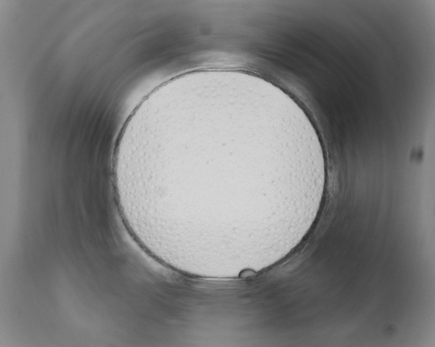 X0000110901487200907301555