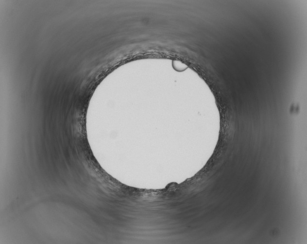 X0000110901490200907301554