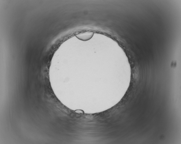 X0000110901495200907301554