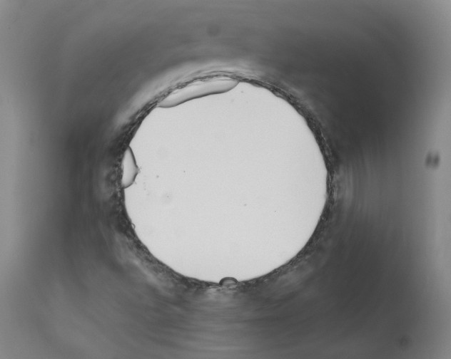 X0000110901496200907301554