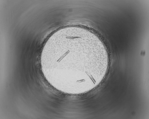 X0000110901497200907301554