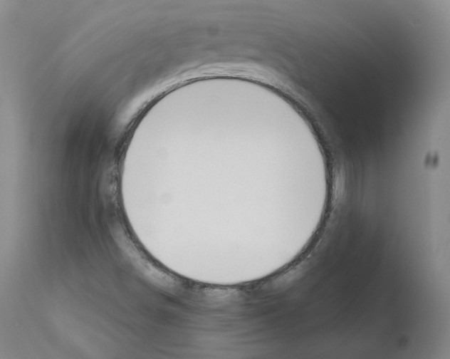 X0000110901498200907301554