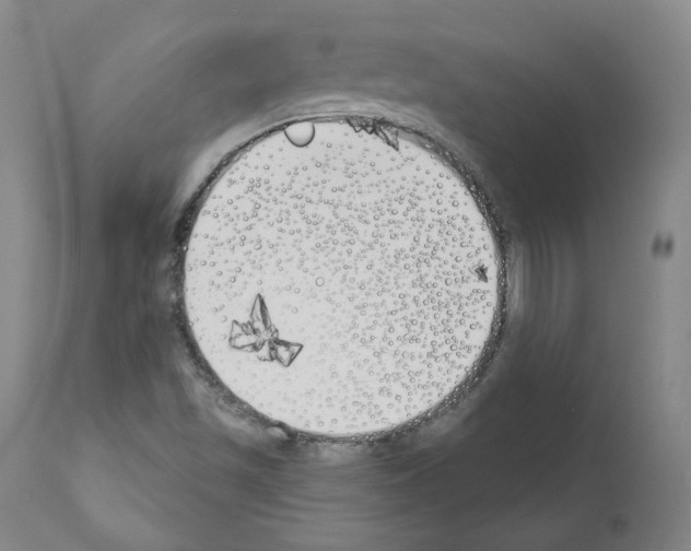 X0000110901501200907301554