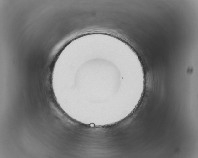 X0000110901502200907301554