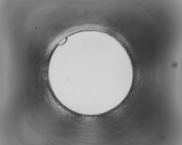 X0000110901504200907301554