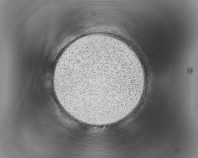 X0000110901505200907301554