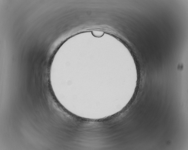 X0000110901506200907301554