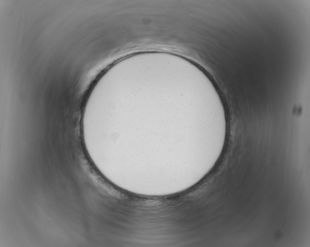 X0000110901507200907301554