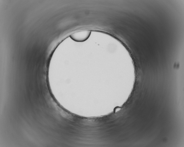 X0000110901508200907301554