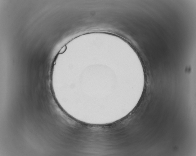 X0000110901512200907301554