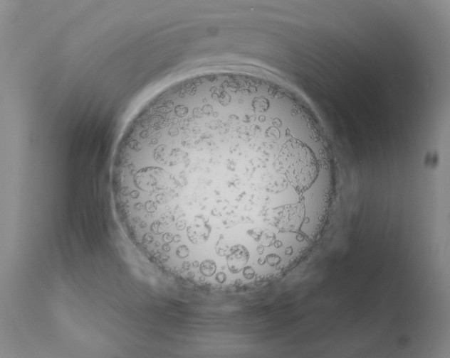 X0000110901514200907301554