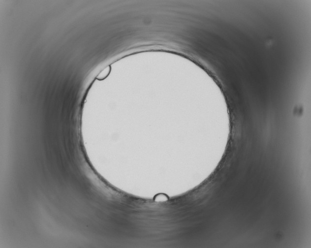 X0000110901516200907301554