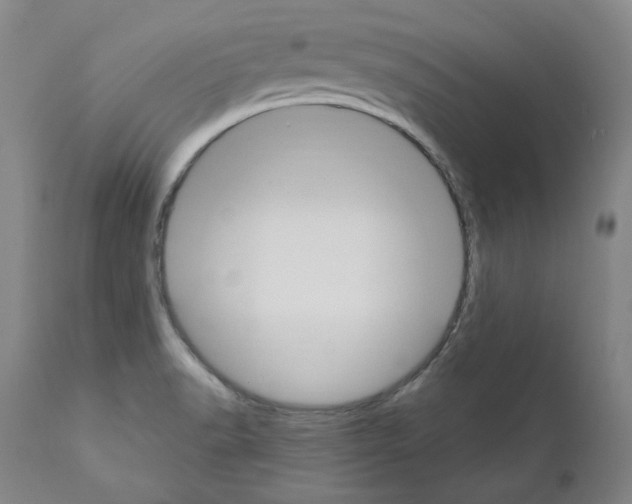 X0000110901518200907301554