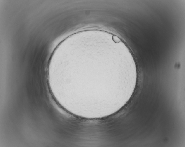 X0000110901519200907301554