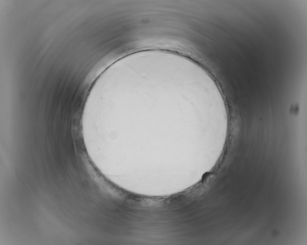 X0000110901521200907301554