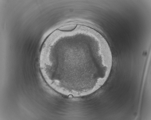 X0000110901522200907301554