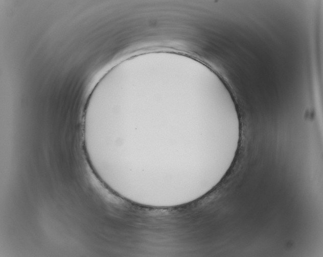 X0000110901524200907301555