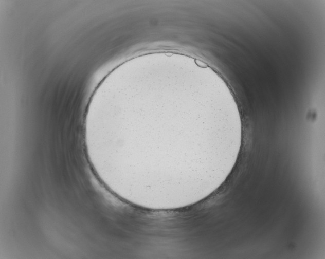 X0000110901527200907301555