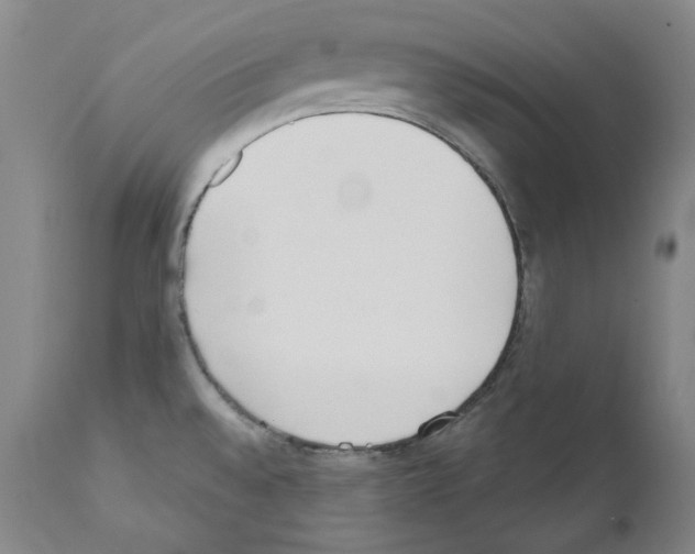 X0000110901528200907301555