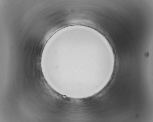 X0000110901529200907301555