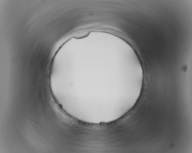 X0000110901530200907301555